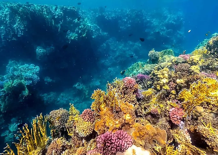 Sataya Marsa Alem